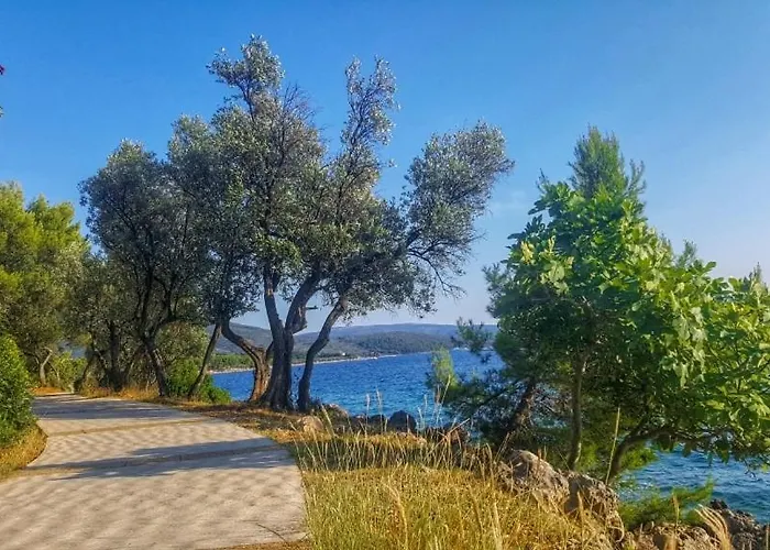 Apartament Stara Gavza 169 , 150 Meters From The *